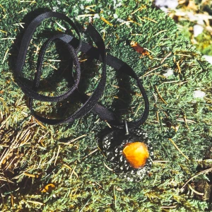 𝕸𝖆𝖗𝖘👽 - Vad är finare än en lysande karneol i solen??? Halsband med velvet snöre & metall imitation 🌑✨ Frakt tillkommer ☺️✨