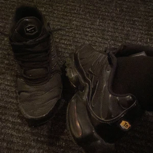 Nike air TN skor - Nike airmax plus skor knappt använda bra skick  Storlek 44 Pris går att diskutera👍