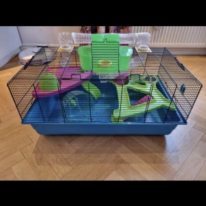 Hamster  - Säljer min hamsterbur med 3 st medföljer  Och med leksaker o mkt mer Går o hämta från göteborg
