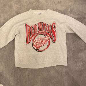 Hej! Jag säljer nu min gråa vintage tröja med ett rött tryck,motiv är NHL laget Detroit redwings. Jag säljer den då den är för liten för mig. Det är en L men sitter som M. Sedan är det bara skriva om ni har fler frågor!!