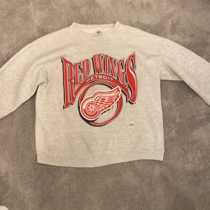 Grå Sweatshirt med tryck - Hej! Jag säljer nu min gråa vintage tröja med ett rött tryck,motiv är NHL laget Detroit redwings. Jag säljer den då den är för liten för mig. Det är en L men sitter som M. Sedan är det bara skriva om ni har fler frågor!!