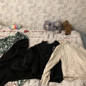 Hoodies tröjor  - Säljer av med dem här hoodisen alla 3 för 200 tröjorna alla 3 för 120