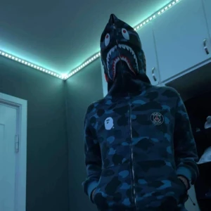 Bape hoodie  - Den är Äkta och i hyfsat bra skick köpt ifrån offthebape