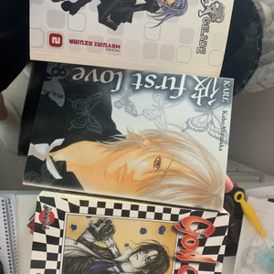 manga - 30 kr per manga 