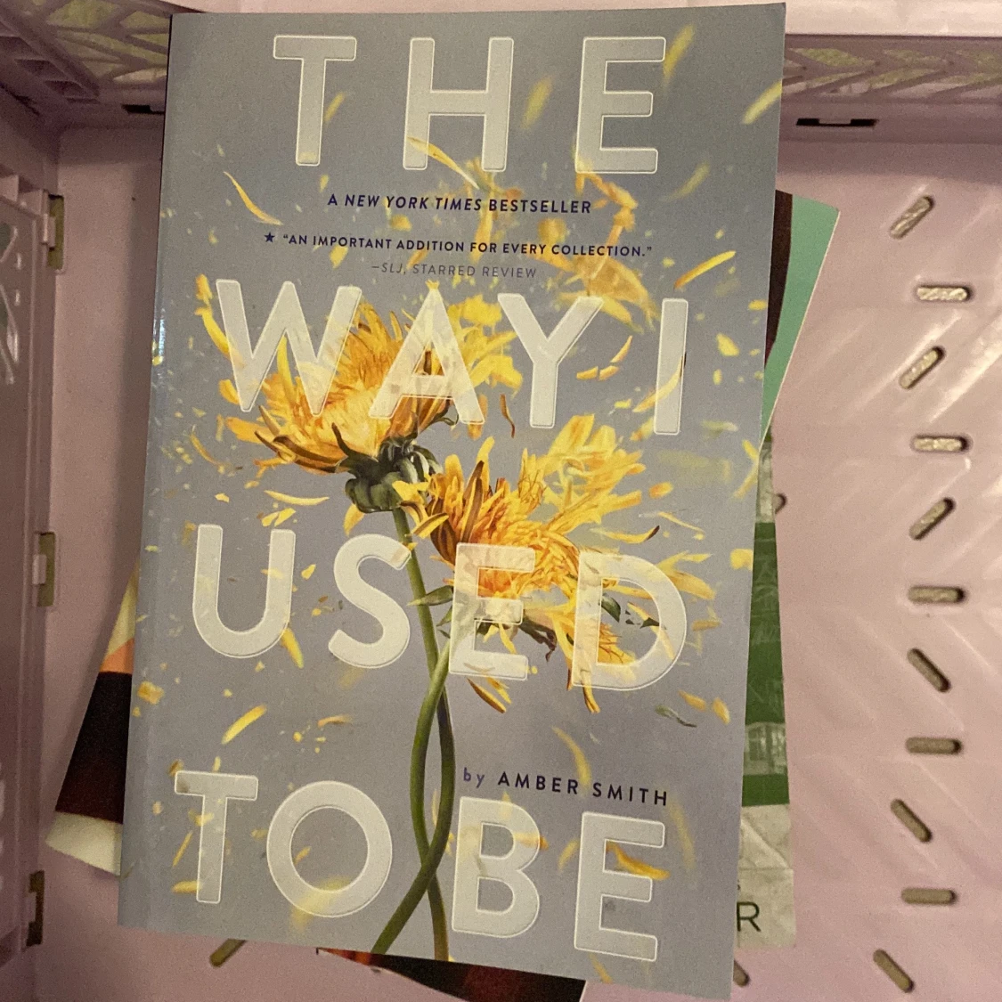 The way I used to be by Amber Smith