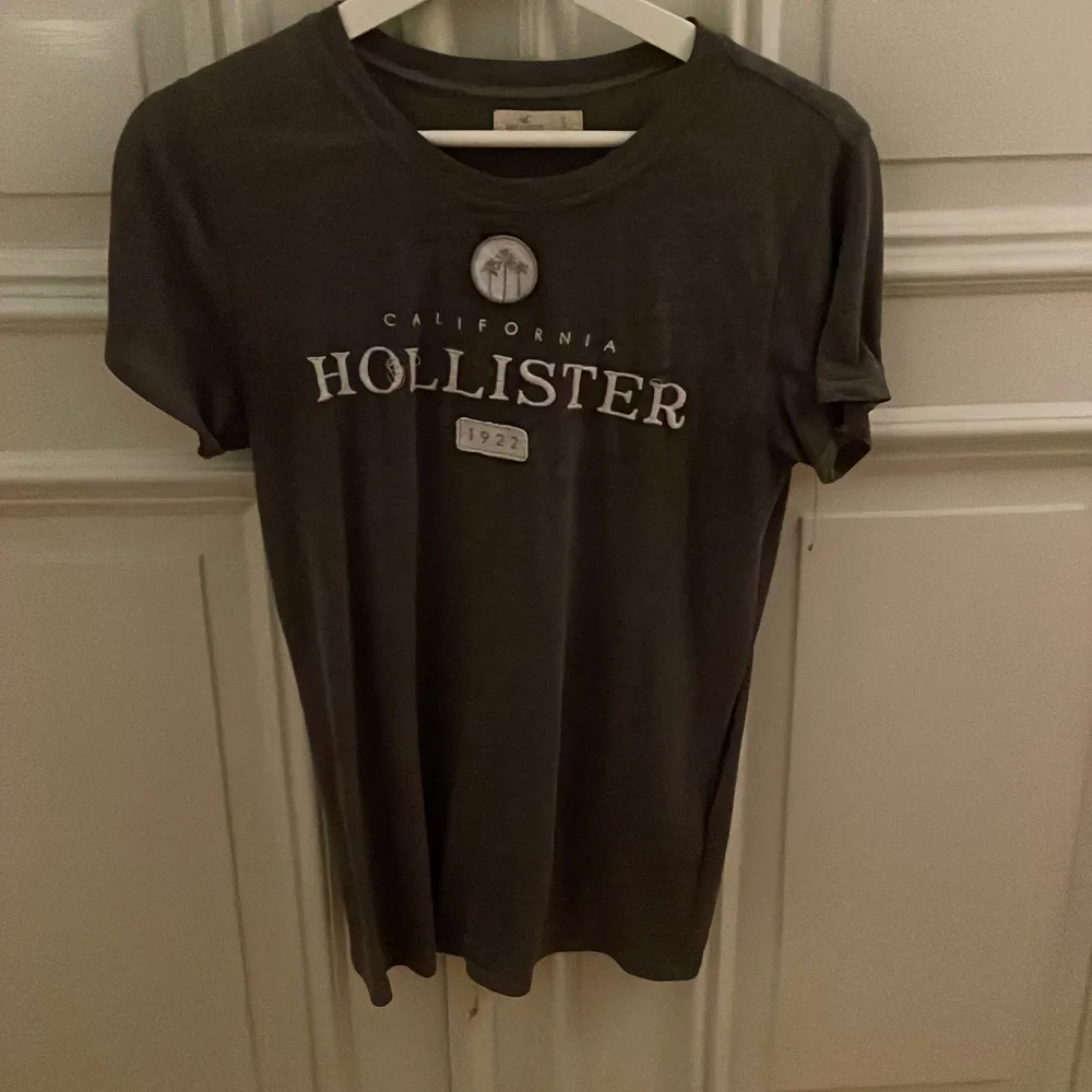 Hollister. T-shirts.