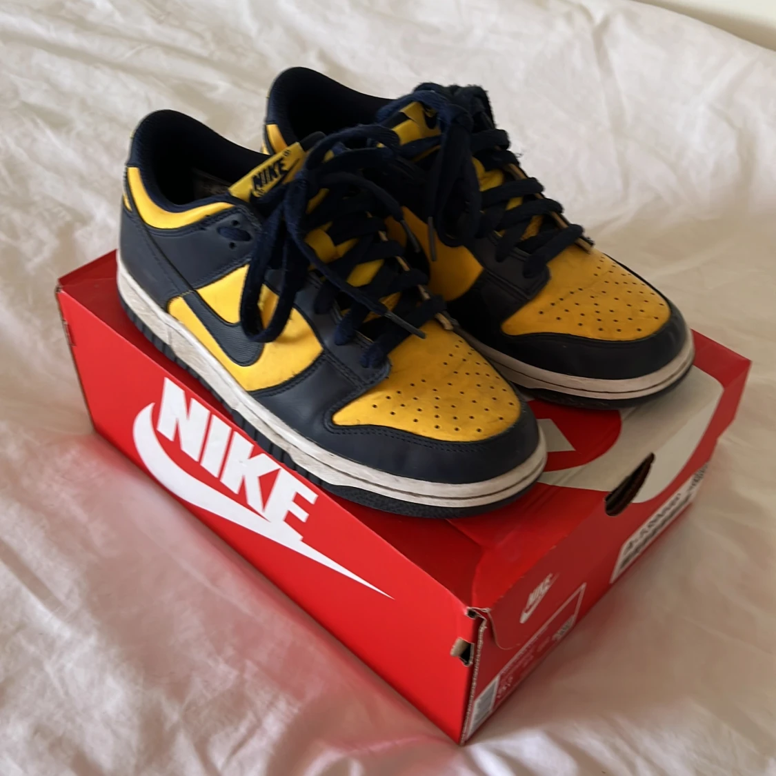 Nike dunks 