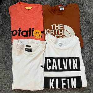4st märkes t-shirt - Säljer diverse t-shirts, bland annat abercrombe, the north face och calvin clein, alla är som nya och i bra skick. Går att köpa separat 75kr eller alla för 200kr! Exkl frakt
