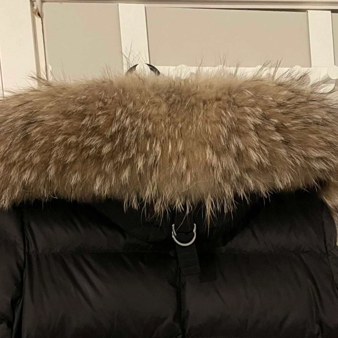 Rockandblue valencia ii jacket - 91