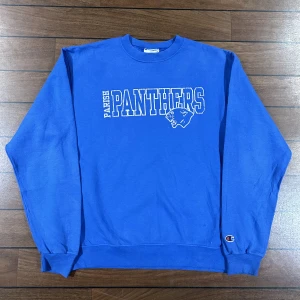 Champion Panthers Sweatshirt  - Snygg vintage champion sweatshirt i storlek M! Bara att skriva om du undrar över något🙏