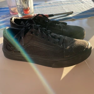 Vans Chima - Ett par Vans Chima som inte passar