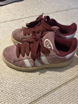 Adidas campus - Adidas campus strl 38