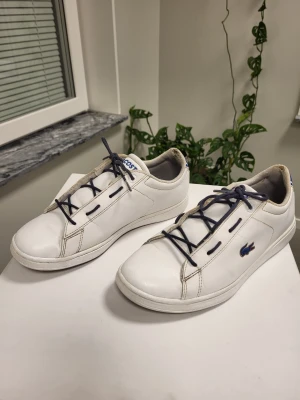 Lacoste Carnaby Evo Vita Sneakers Storlek 37 - Snygga vita sneakers från Lacoste med blå snören och den klassiska krokodilloggan på sidan. Skorna har en låg profil och är tillverkade i slätt läder med diskreta sömmar och en vit sula. Perfekta för en clean och stilren look.