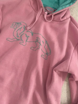 Rosa hoodie med lejontryck - Säljer en rosa hoodie med turkos insida i huvan och ett stilrent lejontryck på bröstet. Hoodien har dragsko i huvan och är gjord i mjukt bomullsmaterial. Perfekt för dig som vill ha en chill och unik look.
