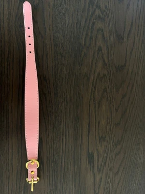Rosa hund halsband med guld detaljer  - Aldrig använd, säljer då den tyvärr är för stor. Väldigt hög skinnliknande kvalitet!
