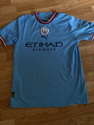Manchester City matchtröja  - Snygg ljusblå Manchester City matchtröja från Puma med klubbmärke på bröstet och Etihad Airways-logga framtill. Tröjan har korta ärmar med vinröda och vita detaljer vid krage och ärmslut. Perfekt för fotbollsfans!