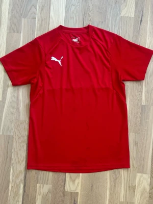 Röd tränings-tshirt från Puma - Snygg röd tränings-tshirt från Puma med klassisk logga på bröstet. Tillverkad i ett lätt och snabbtorkande funktionsmaterial som passar perfekt till gymmet eller löprundan. T-shirten har rund hals och korta ärmar för maximal rörelsefrihet.