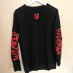 Långärmad T-shirt carlings  - Inte använt så mycket utan bara ligger i garderoben så nu får denna snygga T-shirt hitta nytt hem. Skriv i DM eller kommentarerna ifall ni har några frågor. Frakten kollar jag upp om så önskas, pälsdjur finns i hemmet.