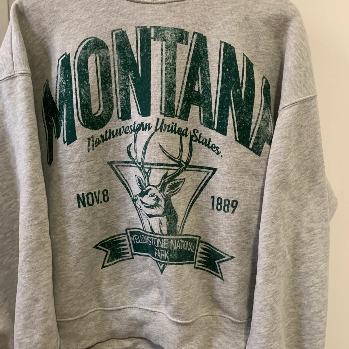 GRÅ SWEATSHIRT  - 90