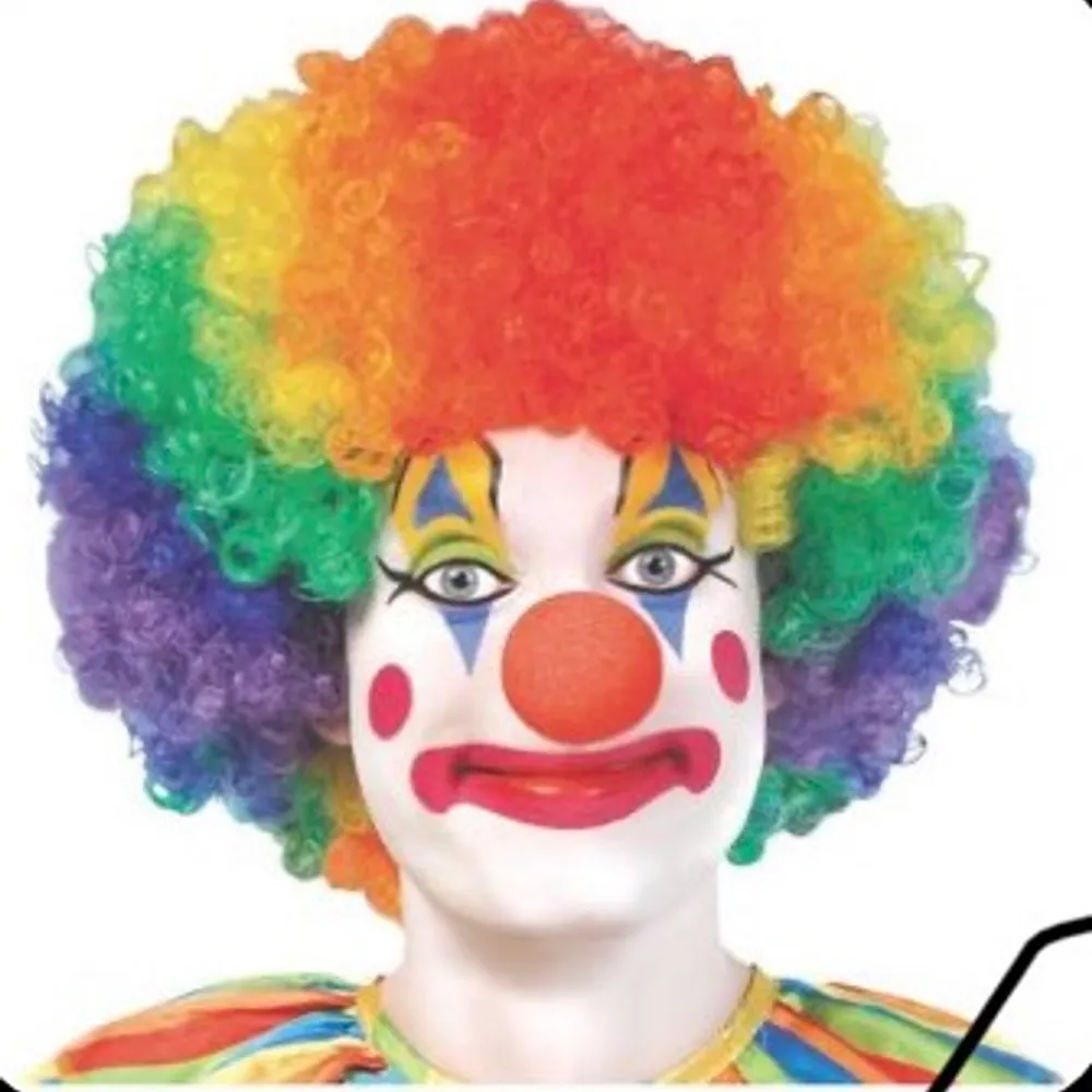 Clown peruk jag van på tivoli som passar alla storlekar perfekt för spex/haloween kollar fraktkostnad vid intresse . Övrigt.