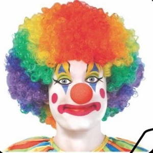 Clown peruk  - Clown peruk jag van på tivoli som passar alla storlekar perfekt för spex/haloween kollar fraktkostnad vid intresse 