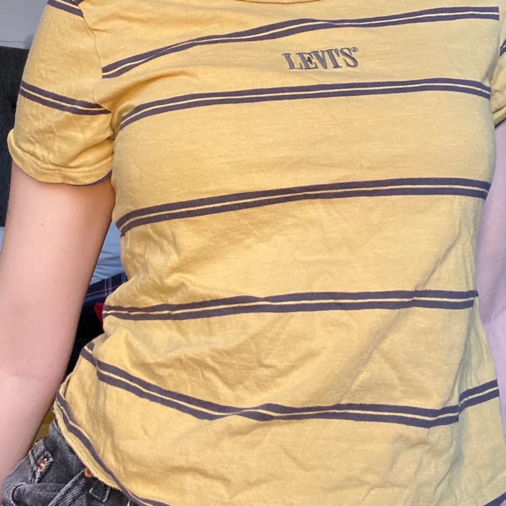 Det här är en gul randig Levi’s tröja som är köpt ifrån Junkyard. Original priset är 699kr men jag säljer den för hälften av original priset. Inga skador och i väldigt bra skick! Har inte använt den på ett tag och väljer därför att sälja den. Köparen står för frakten, och om det skulle bli flera intresserade så blir det bud från 300kr! Enligt mig är det här en as snygg t-Shirt till vår/sommaren! . T-shirts.