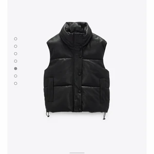 Skinnväst - Säljer denna super populära väst från Zara enbart om jag får ett bra bud! I storlek L men passar mig som har S. Den är helt ny, aldrig använd så säljer om jag får ett bra bud annars skickar jag tillbaka den. Den är slutsåld!! Bud från 400kr, avslutas på tisdag