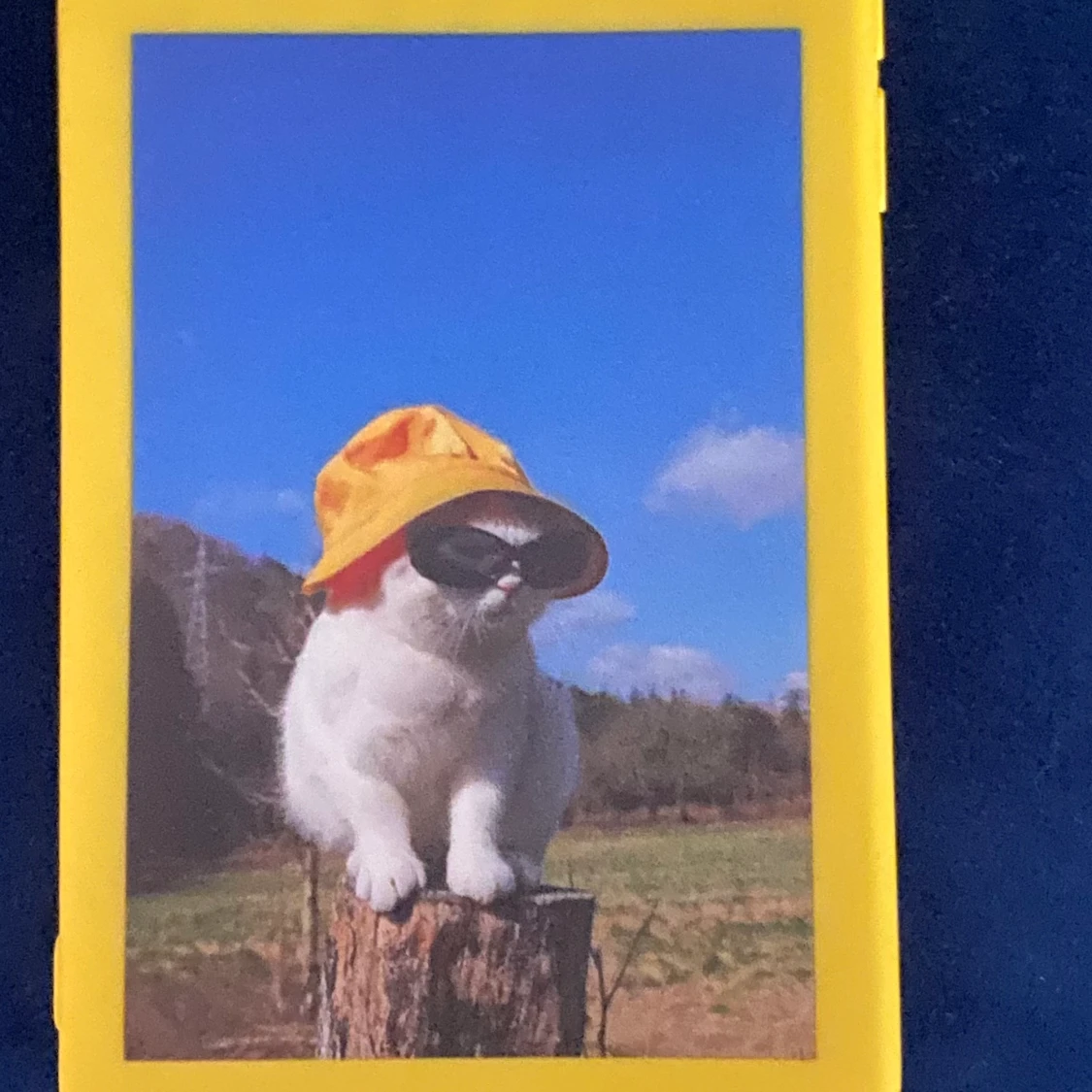 Oanvänt mobilskal till iphone 12/12 pro - 90