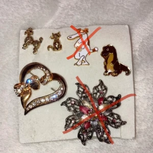 Broschser - Säljer 6 fina broscher i olika storlekar. Dom är i väldigt fint skick🤍 Är du intresserad dm:a för ett pris😊