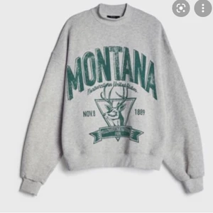 Grå sweatshirt  - Säljer min gråa sweatshirt från chiquelle💖💖