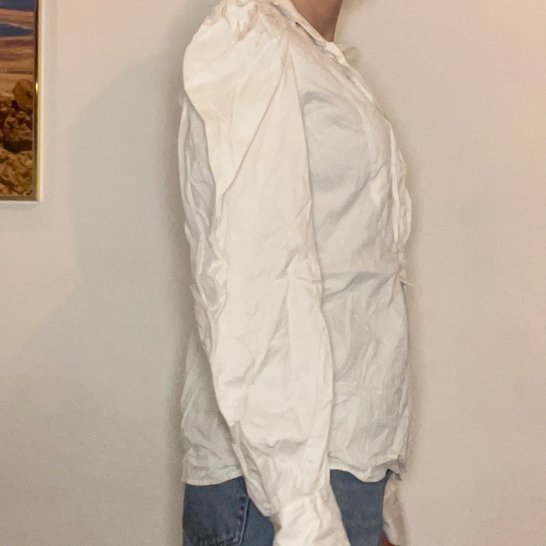 Vintage puffy sleeve  Top - 90