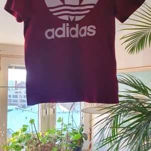 Adidas T.SHIRT  - An åkt Adidas T.SHIRT I mycket bra skick och passar xxs_m.man kan ha på sig som T.SHIRT eller top.finns fler bilder och den är unisex användade 2 dager 