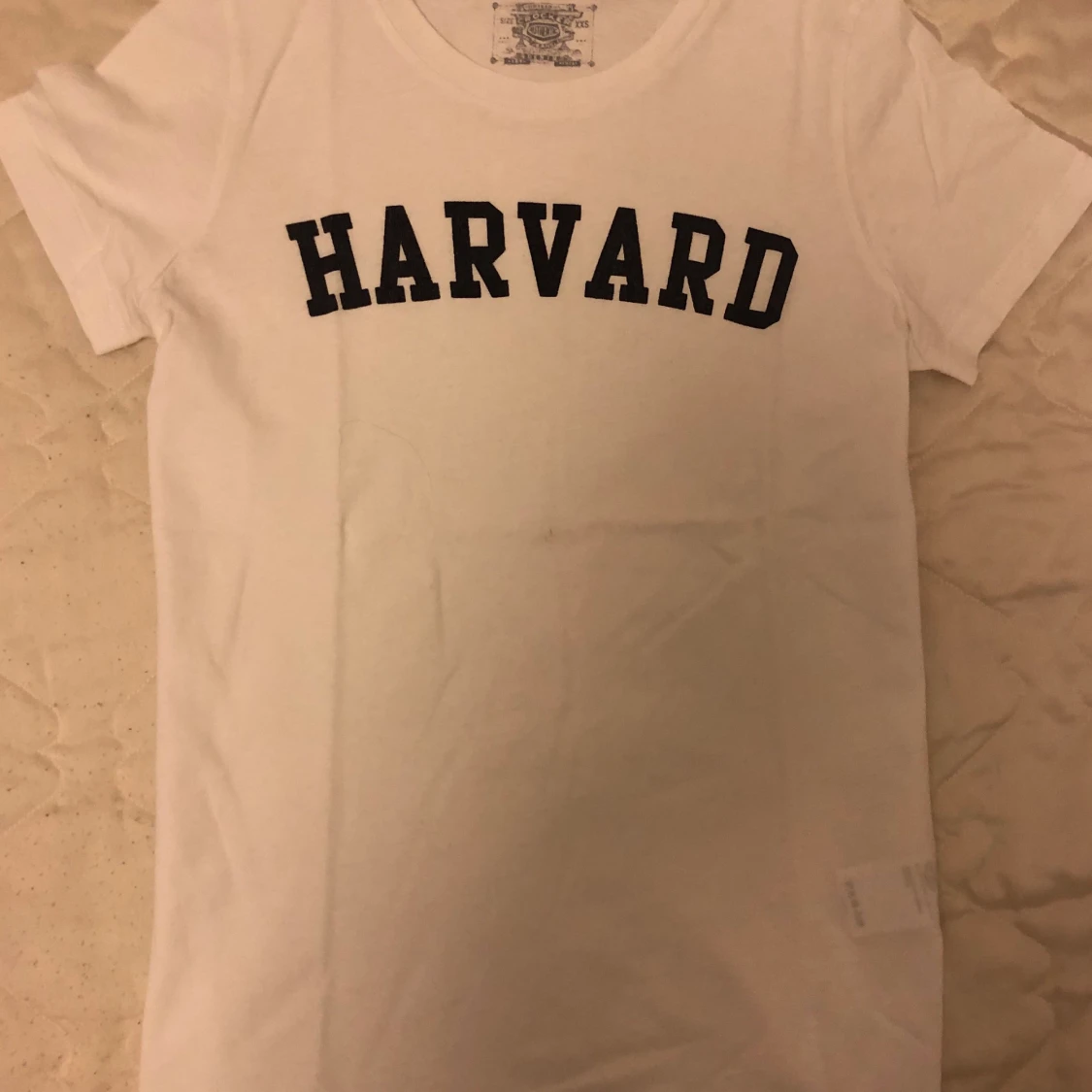 Harvard t-shirt
