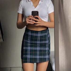 Rutig kjol - En rutig kjol. Det finns en guldig dragkedja på sidan.