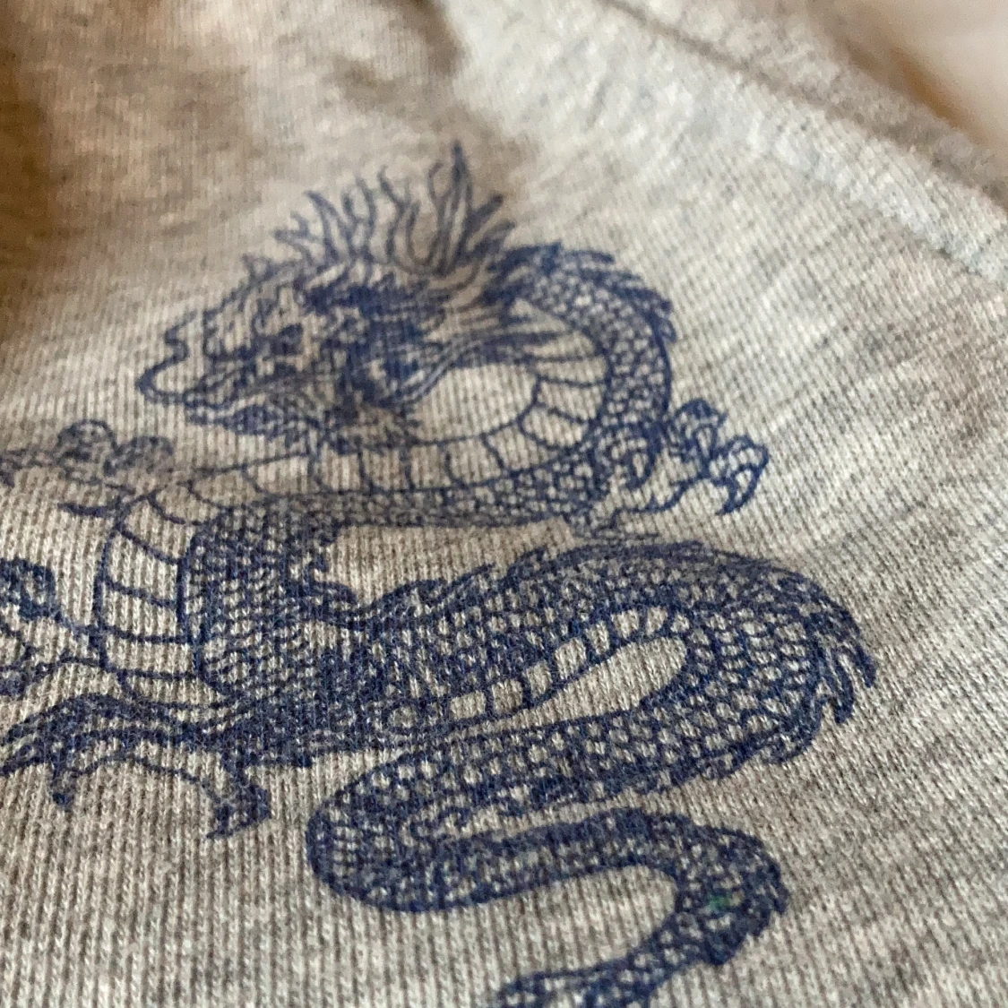 Shorts med en lila drake på - 91