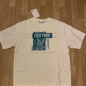 acne studios t-shirt  - acne studios t-shirt oanvänd med prislapp kvar. i storlek M men är mycket stor i storleken. köparen står för frakt💚