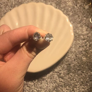 Örhängen  - Silverfärgade örhängen 