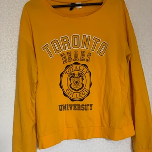 H&M tröja - Lätt tröja, oversized. Fin på hösten.