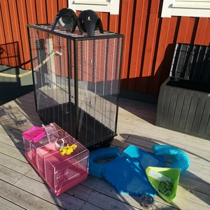 Råttbur  - Hej! Jag säljer min råttbur som än vändes i mindre en ett år, fint skick och inga större defekter än att kanterna på buren kan vara lite små tuggade. Men inget större eller farligt för djuret. Allt tillsammans är köpt för  ungefär 3000 kr men jag säljer allt för 1200. Måtten är (L 100 × B 50 × H 116)  Jätte stor bur som ger dina råttor möjlighet att utforska och klättra i buren. Det följer även med en mindre rosa bur för exempel transport. Eller så kan man ha den öppen när råttorna springer löst i rummet för att ha något att undersöka.  Detta ingår i köper  - en stor bur  - mindre rosa bur  - tre blå plast stegar  - 3 blå våningar  - 2 blå tunnlar  - 2 mindre tunnlar  - 1 plast "burk"  - 1 rosa bro  - 2 roliga hållare att hänga upp mat i  - matskål och vattenflaska (500ml) - två hus  - Toallet  - hängmatta  - pellets  Några övriga frågor är det bara att skriva till mig  