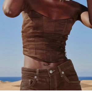 Brun korsett - Säljer denna populära korsett topp från Zara som är helt slutsåld. Köpt här på plick men endast testad så prislappen sitter kvar. Storlek M. Säljer för 250+ frakt. Säljer dirket för 350 kr.