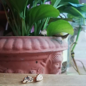 Örhängen moln  - Helt oanvända supersöta guldiga örhängen i form av moln ☁ 