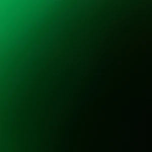 SUMMERBURST BILJETT - Säljer min summerburst biljett till årets största konsert i Sverige i September. Har ingen användning då jag flyttar. 