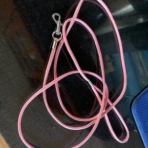 Katt/hundkoppel - Kattkoppel som använts när vår hund var liten valp. Fint skick 💗