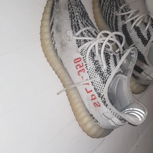 Adidas yeezy boost 350 v2 Zebra - Säljer mina yeezy zebras. Skorna är felfria, lite smutsiga men jag tvättar dem helt vita innan jag skickar iväg dem. Boxen medföljer! OBS använder safepay så att ni gör ett säkert köp!  pris kan diskuteras vid snabb affär.