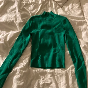grön tröja🍐 - super fin grön tröja med lite polo! aldrig använd därför i nyskick!😁💕