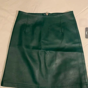 Skinnkjol 50kr - Skinnkjol för 50kr helt ny