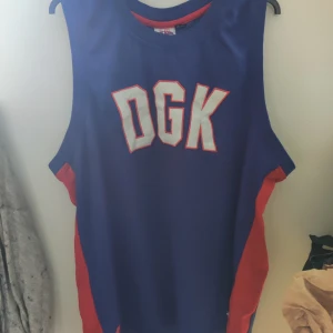 DGK Skateboarding - Välkänt märke inom skateboard världen 