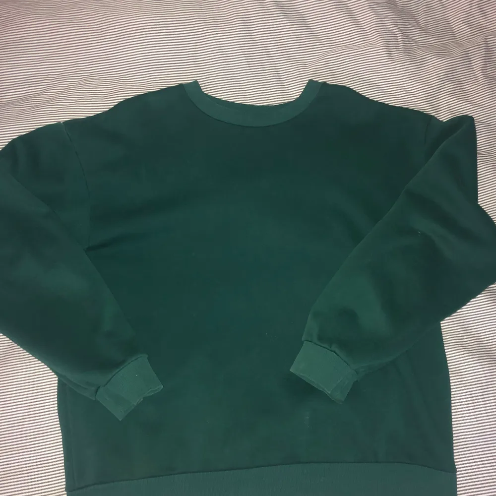 Det här är en mörkgrön crewneck från lager 157 denna tröja köppte jag för några år sedan, använt den en del men det är inget fel på den över huvud taget. Obs den är väldigt oversized, jag är 200 cm lång och den sitter stort på mig. Tröjor & Koftor.