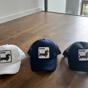 Feta kepsar till hundälskare - Aldrig använt dem. 3 olika färger att välja på