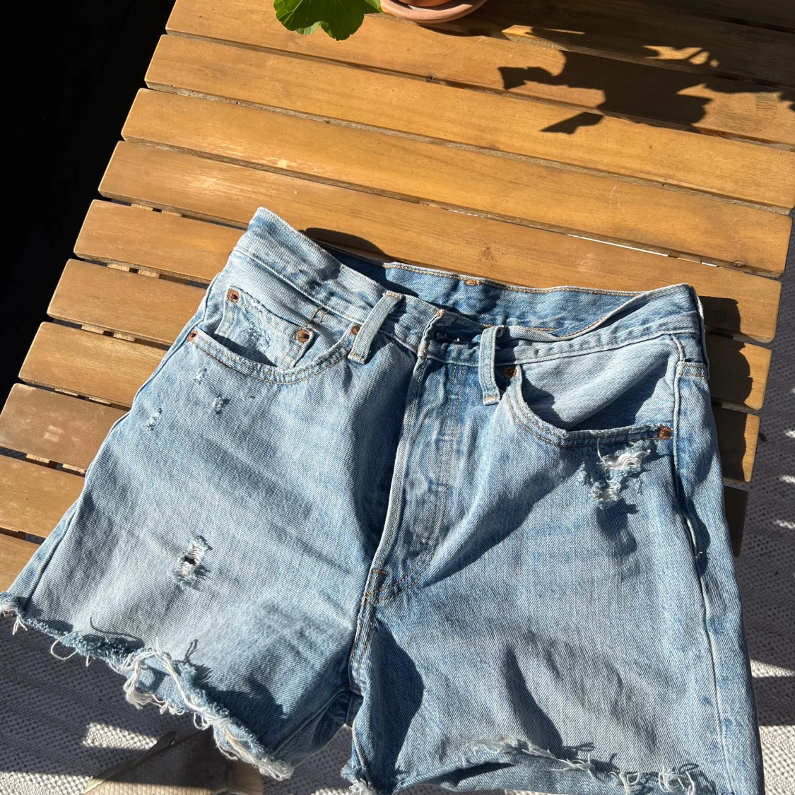 Levis shorts